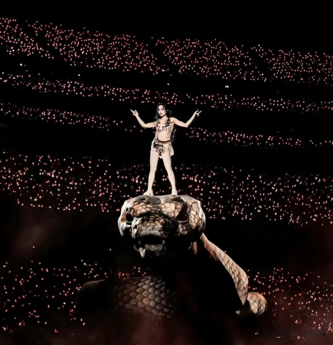 第一次刷到这张照片，被惊了一下，这是蔡依林在PLEASURE世界巡回演唱会台北站