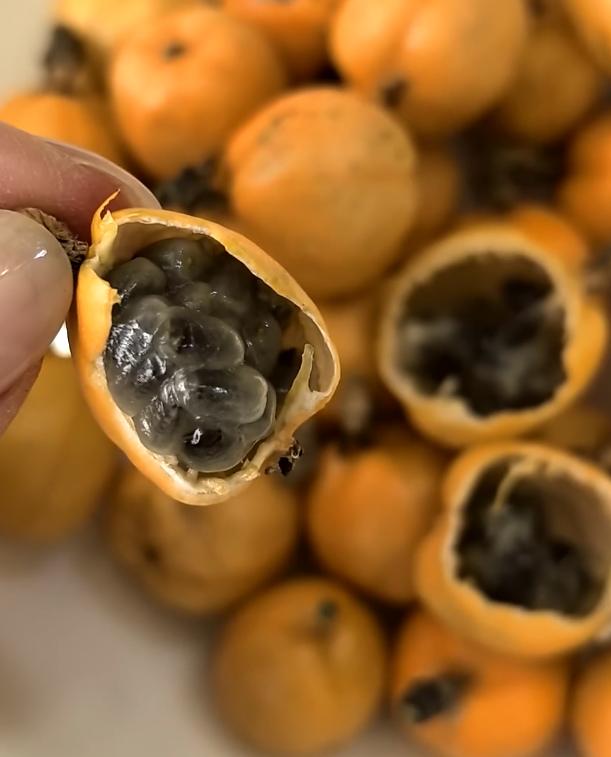 赶集看一堆橙黄小野果，圆溜挺好看，卖货的说是山里野果、酸甜解渴，我买一把。回家掰