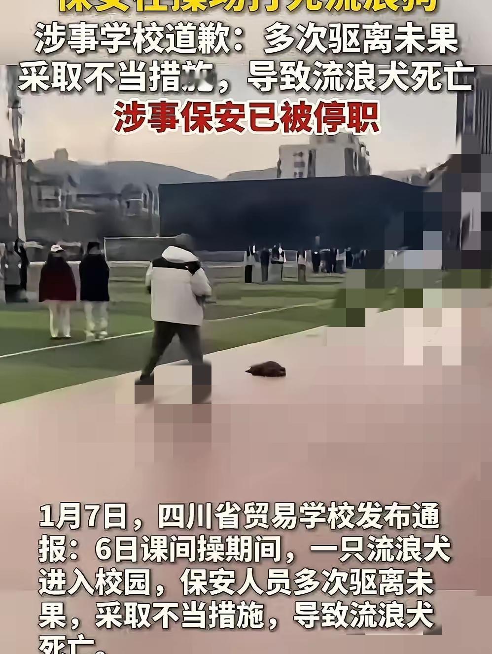 保安护学生打狗被停职？这波“各打五十大板”真的合理吗？
 
流浪狗闯入校园，学生