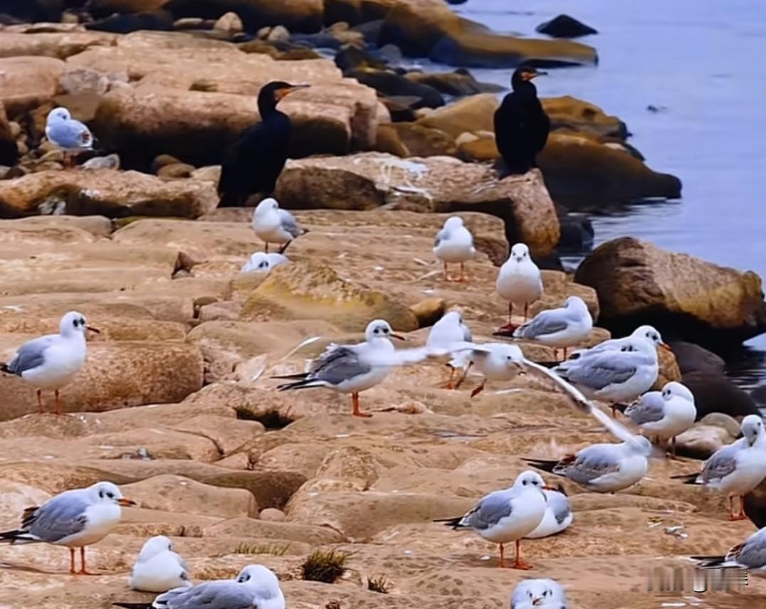 在头条，独乐乐不如众乐乐，我每天打开手机第一件事就是去串门留言，我觉得能看到更多