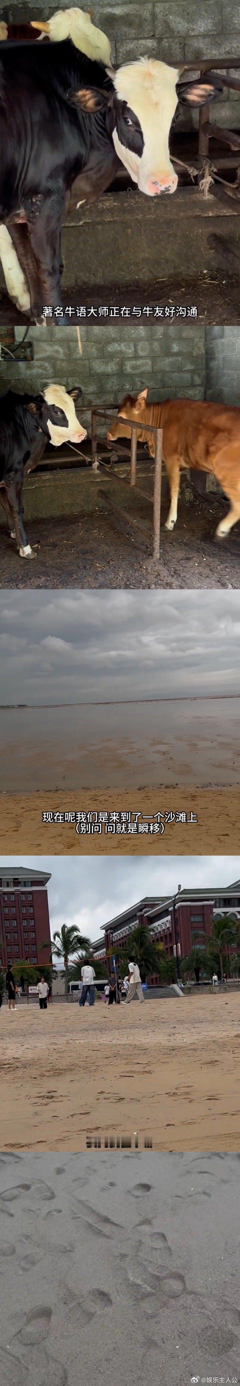 #陈少熙 游学小记# 居然让大家等到了陈少熙游学vlog哎，让我们提前沉浸式地感