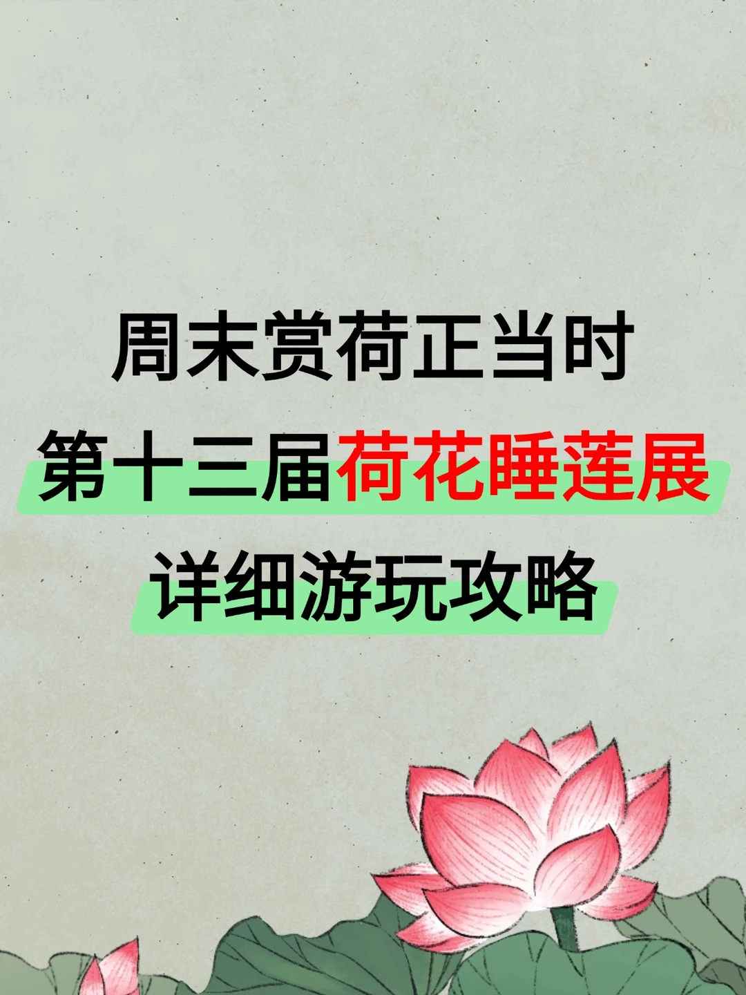 上海第十三届荷花睡莲展详细游玩攻略