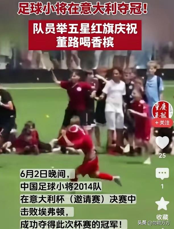 u12组的足球小将们在意大利夺得冠军，让无证教练董路和他的青训模式获得了极大的热