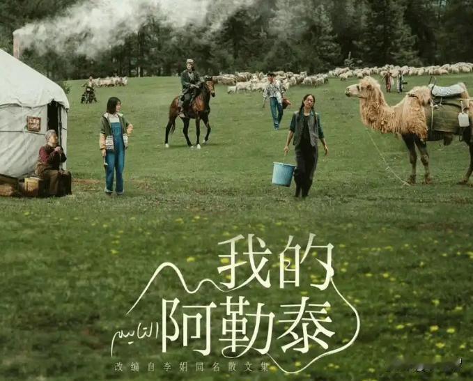 《我的阿勒泰》
央视播出的《我的阿勒泰》也红极一时，亮点不仅仅在于故事，以及于适