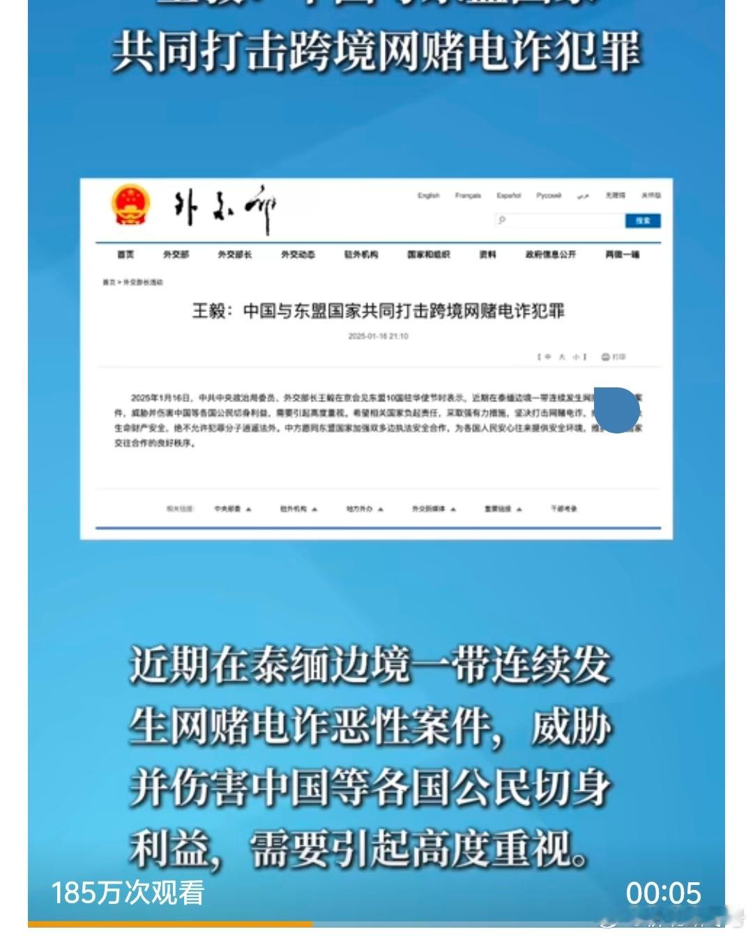 王毅表态绝不允许犯罪分子逍遥法外  2025年1月16日，中共中央政治局委员、外