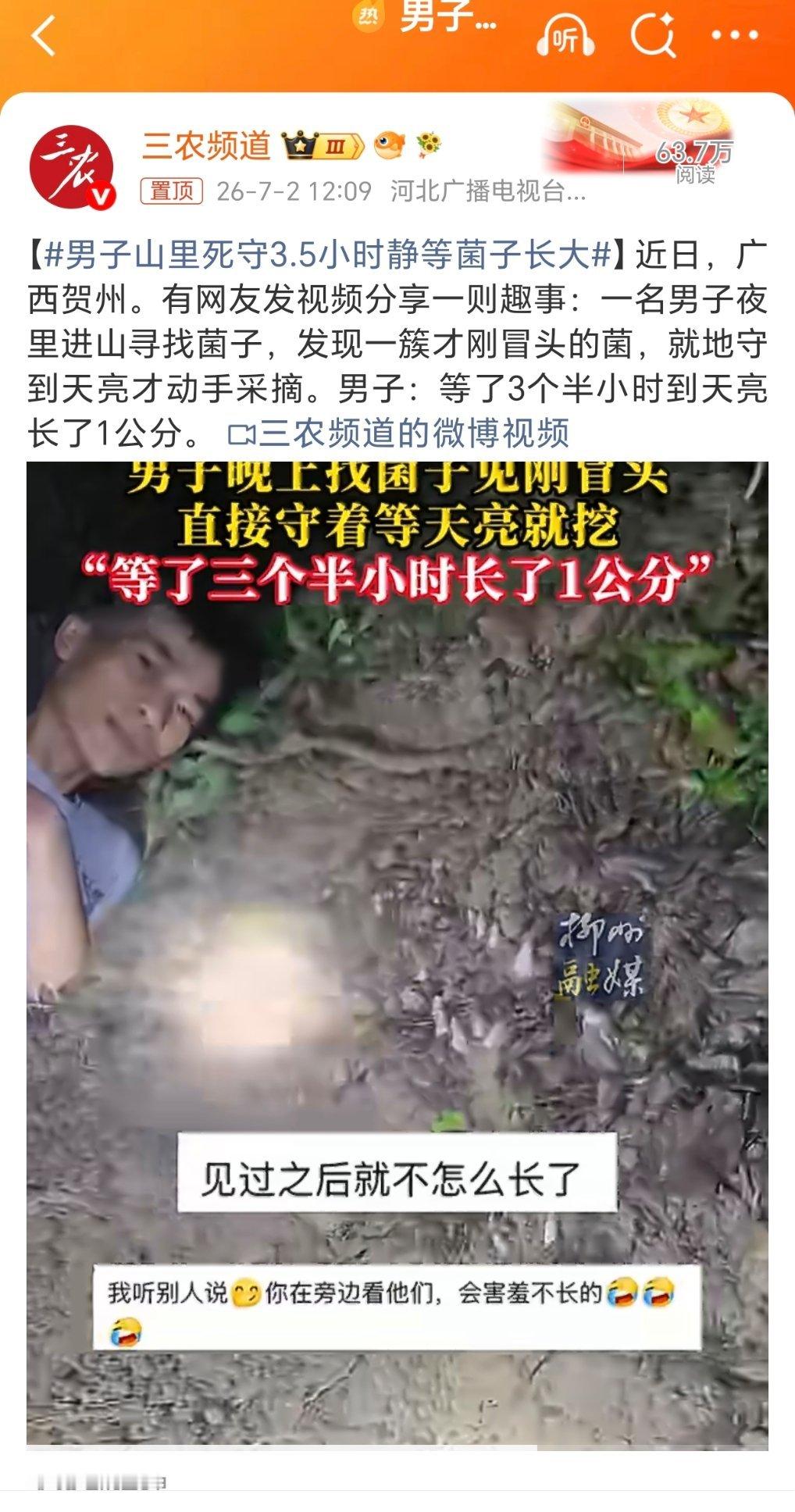 男子山里死守3.5小时静等菌子长大太危险了！不值得学习？笨鸟有话说