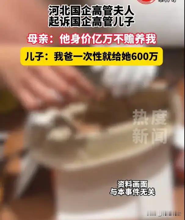 五套房产与一颗空心：当赡养费官司揭开“情感账户”的破产真相

“我缺的不是钱，是