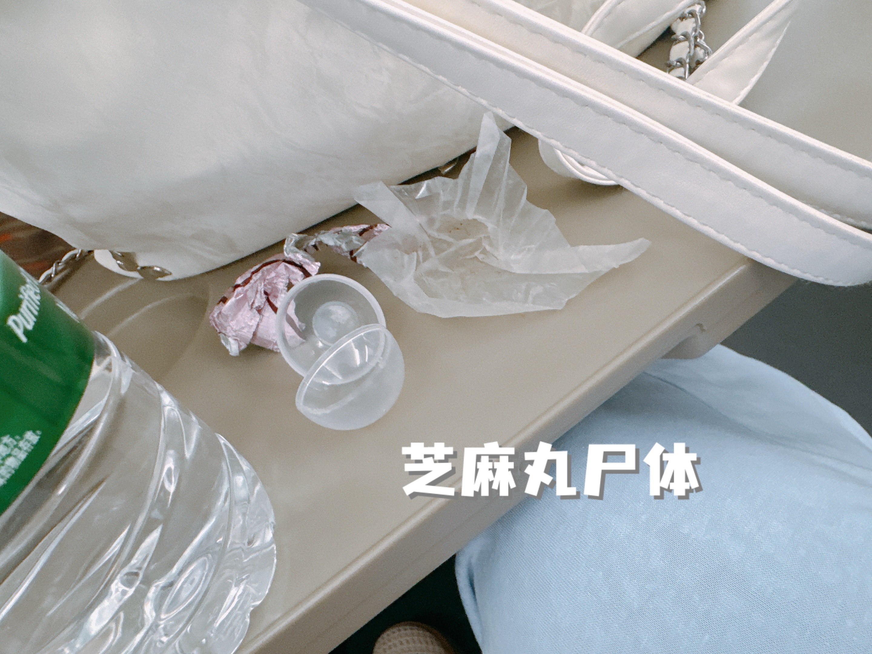 芝麻丸打卡米西米西在高铁上就吃上了随身带着嘟 