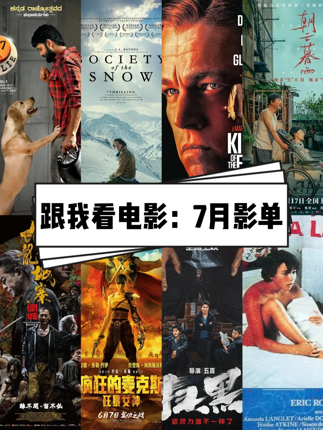 跟我一起看电影：7月影单