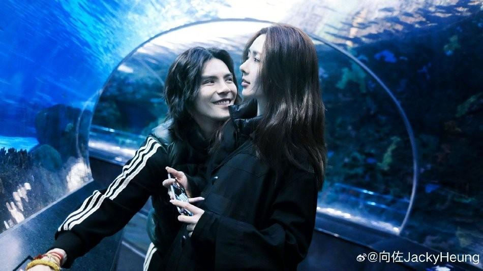 向佐郭碧婷逛海洋馆 相互依偎深情对视爱意满满
近日，向佐在社交平台上晒出了一组与