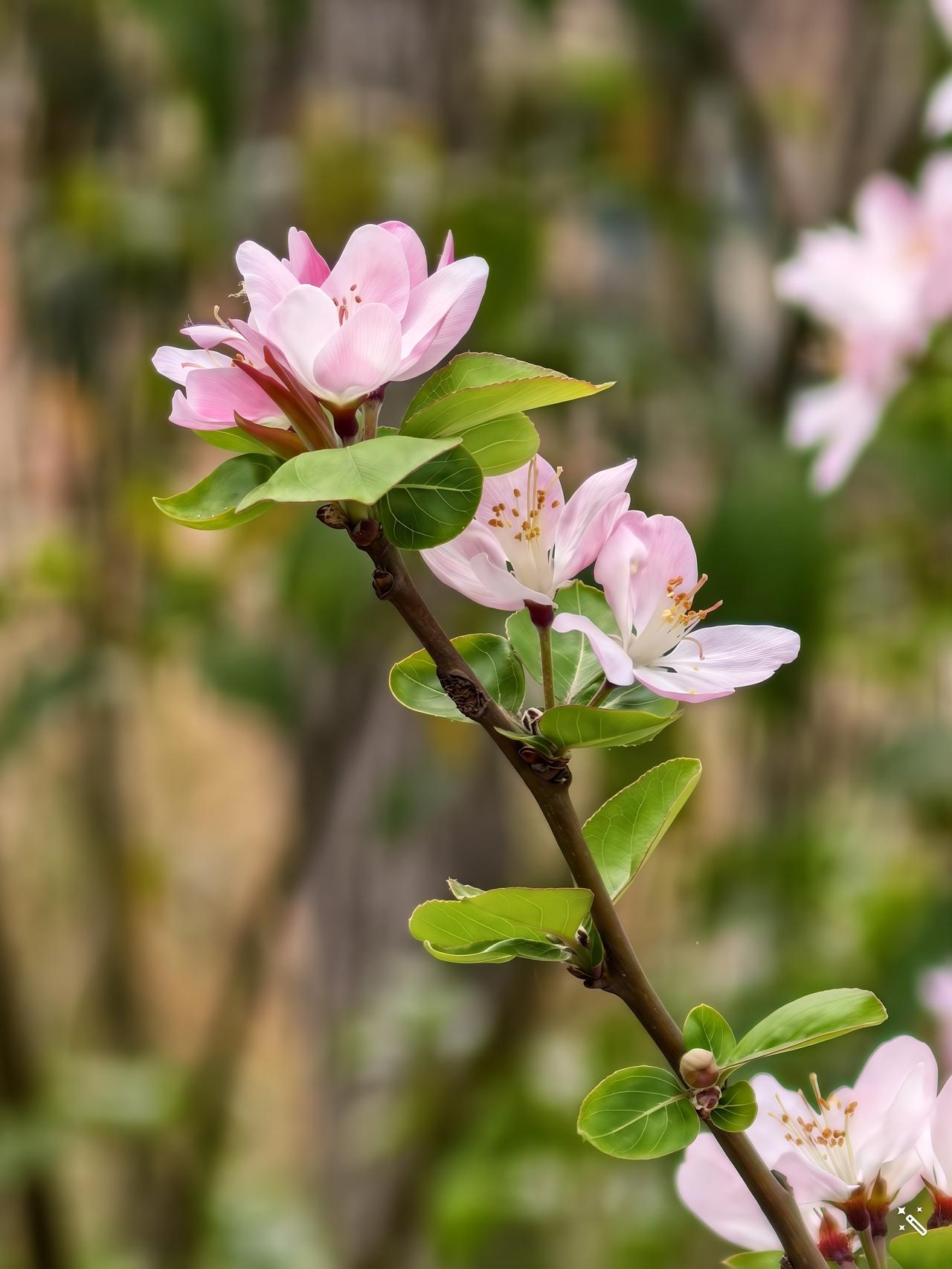 学道之人应当与主流社会保持距离。这样说的意思并不是让学道之人脱离社会，跑到荒山野