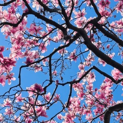 新的一天开始啦。我选择放下烦恼，带上微笑，把日子过得热气腾腾。不辜负清晨，不辜负