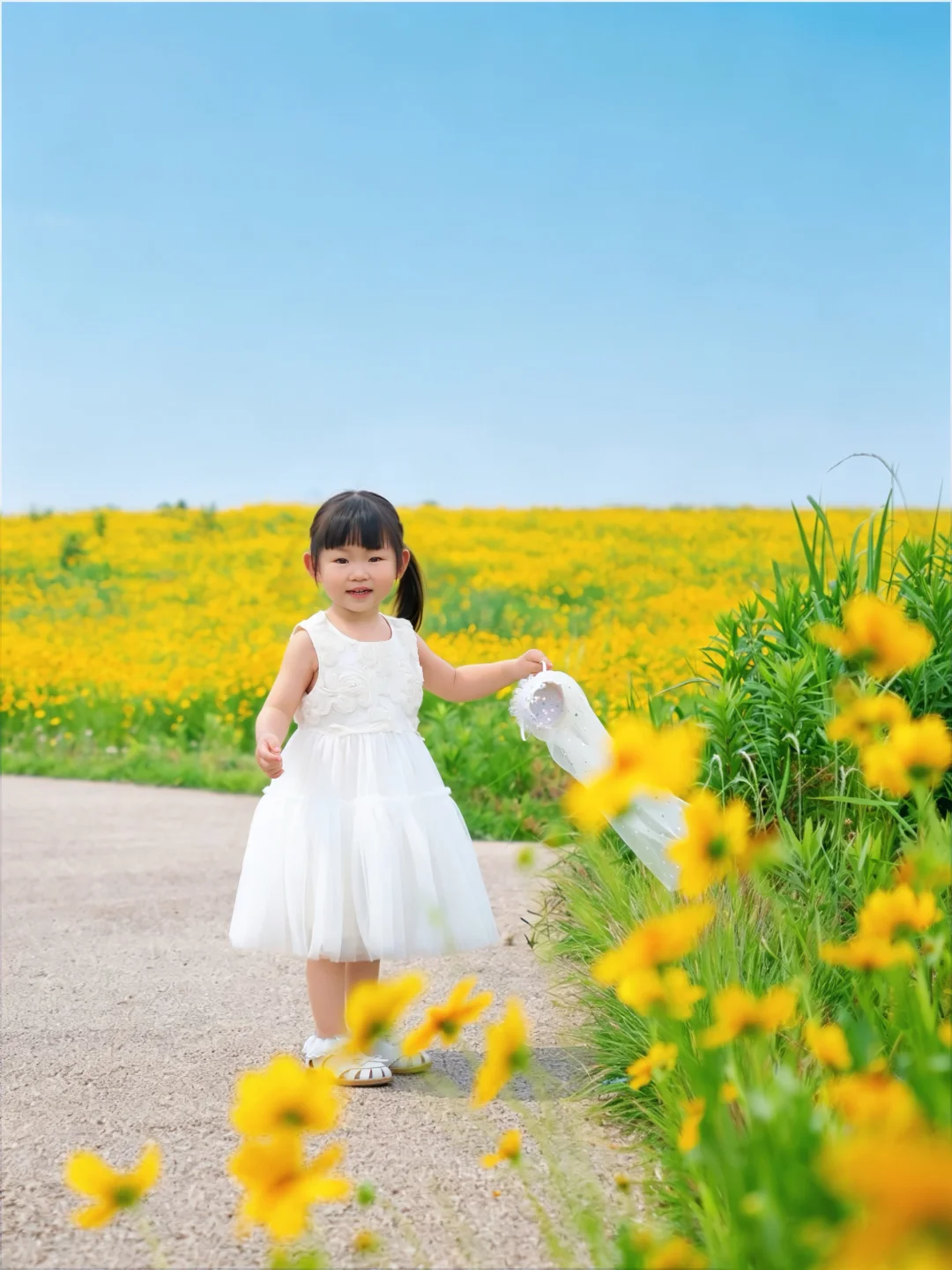 闯入宫崎骏花海🌼初夏小黄花太美啦