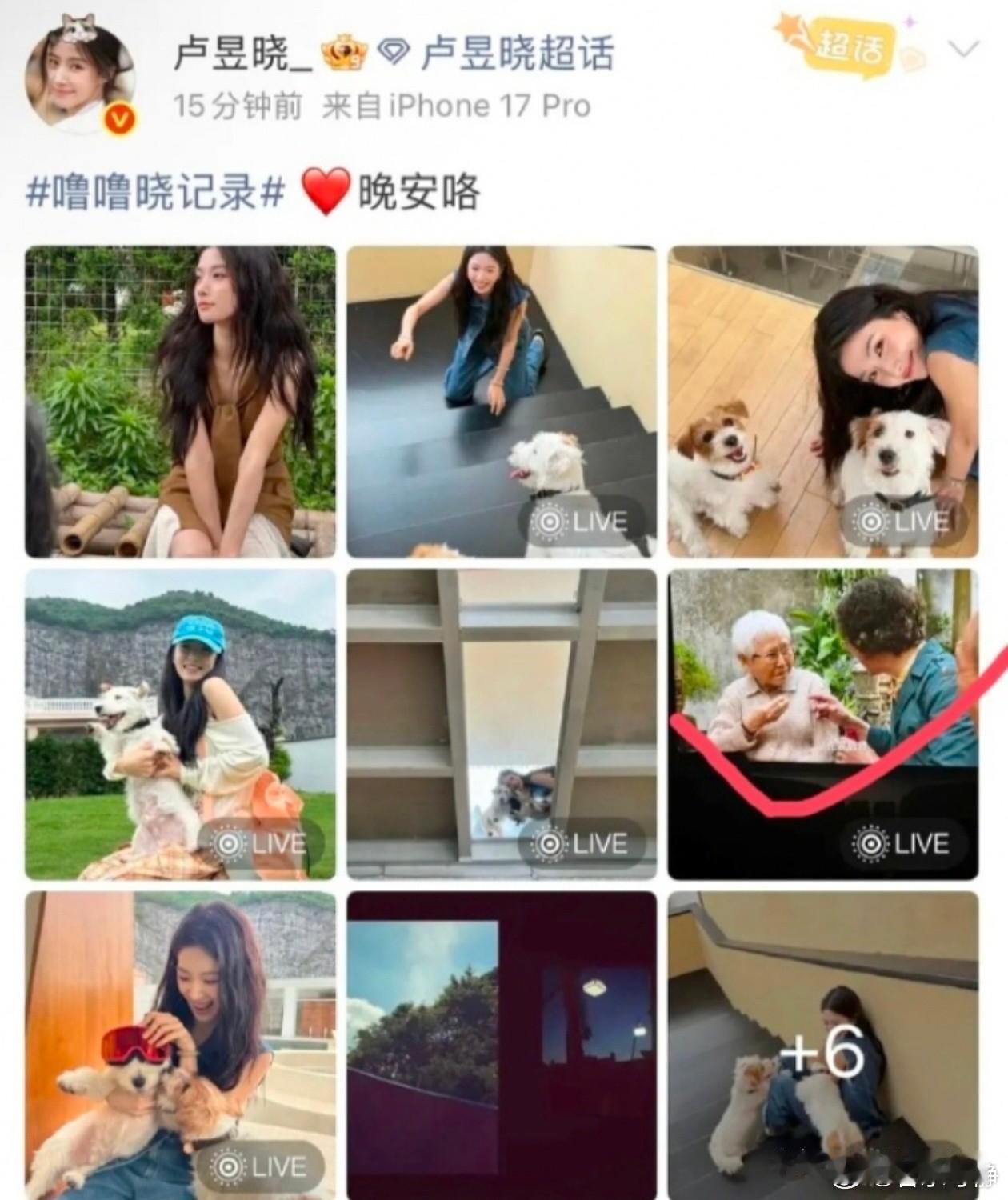 卢昱晓给自己添砖加瓦
这一次真的是搬起石头砸自己脚，给自己的事业来一出雪上加霜。