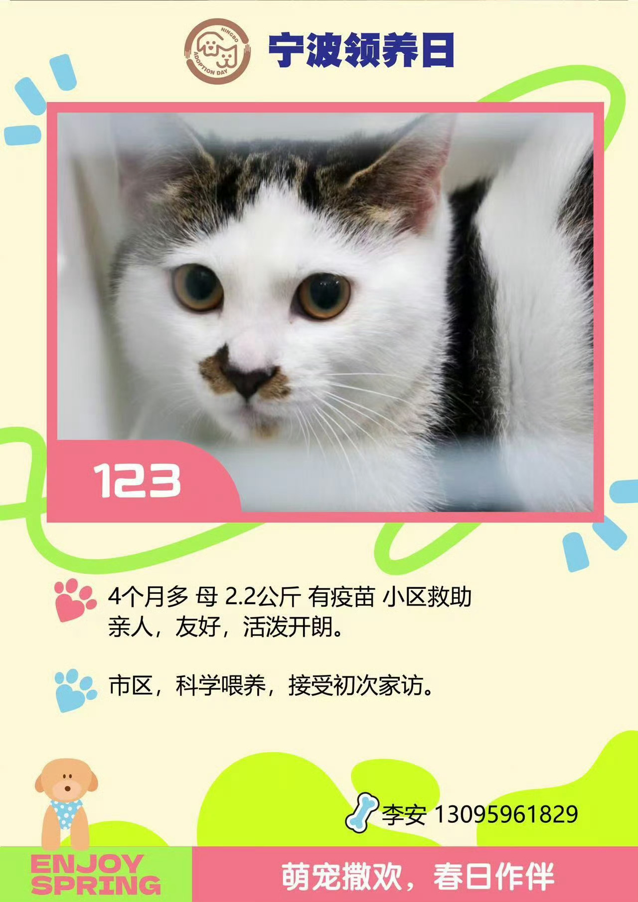 第109届宁波领养日来啦 萌宠撒欢，春日作伴🌸💞4月3日中午11:00-14
