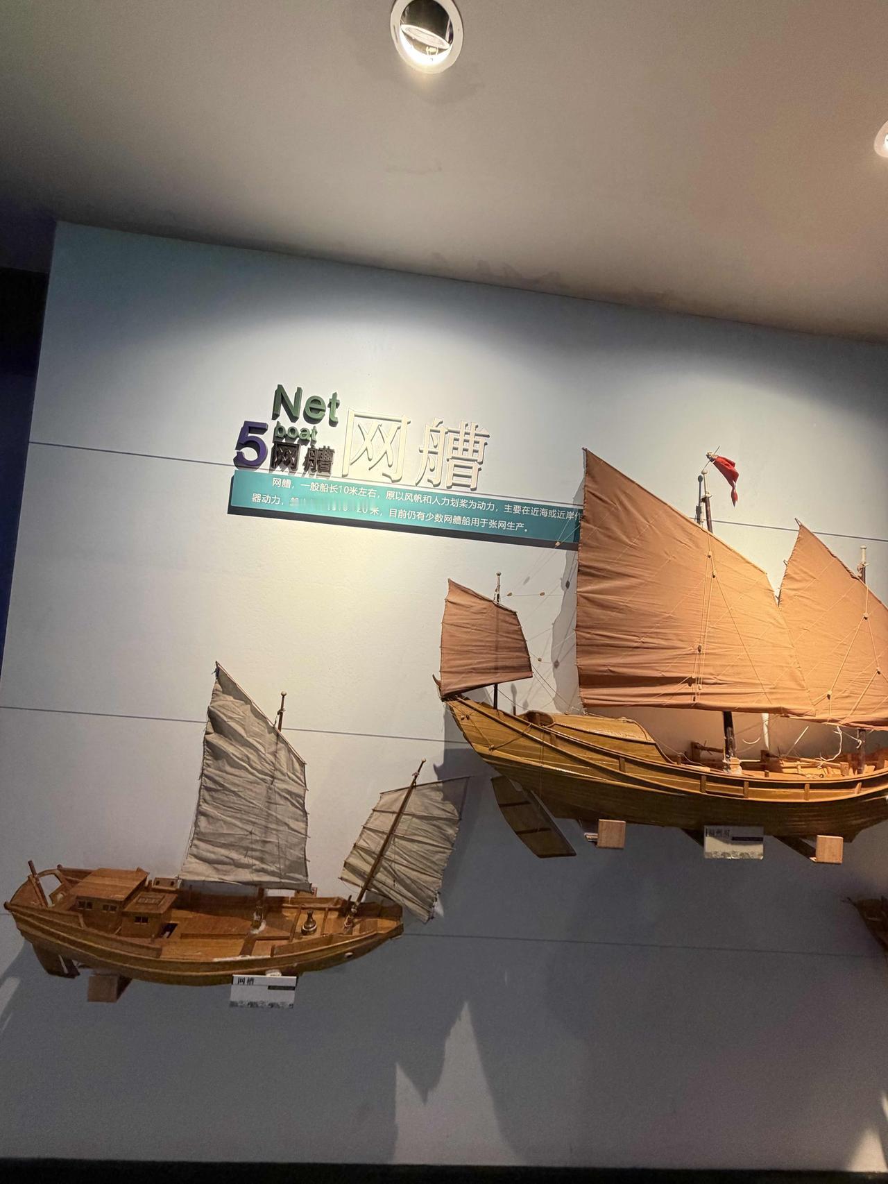 上个月的下旬，我跟随西安旅游团，去淅江省温州市旅游！
在洞头岛上的望海楼里，我看