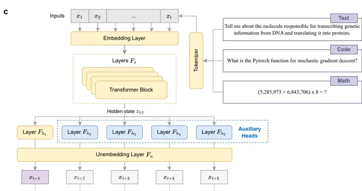 突破单token预测局限！南洋理工首次将多token预测引入微调