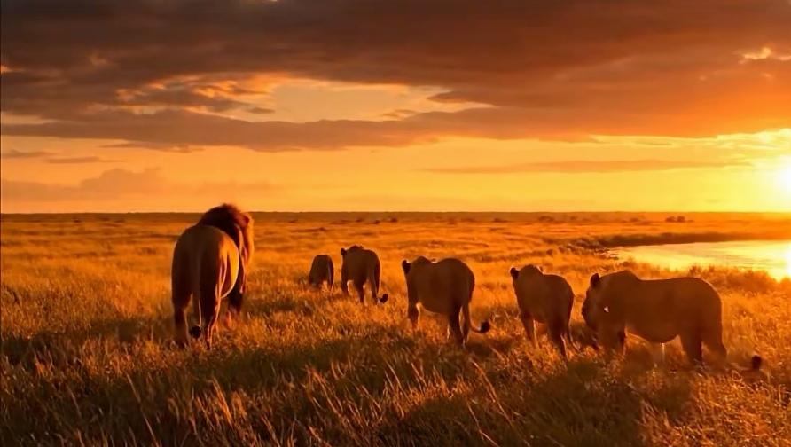 0384.合作得有诚意，而不能得寸进尺。12月4号在海口办事那天，加了一个陌生人