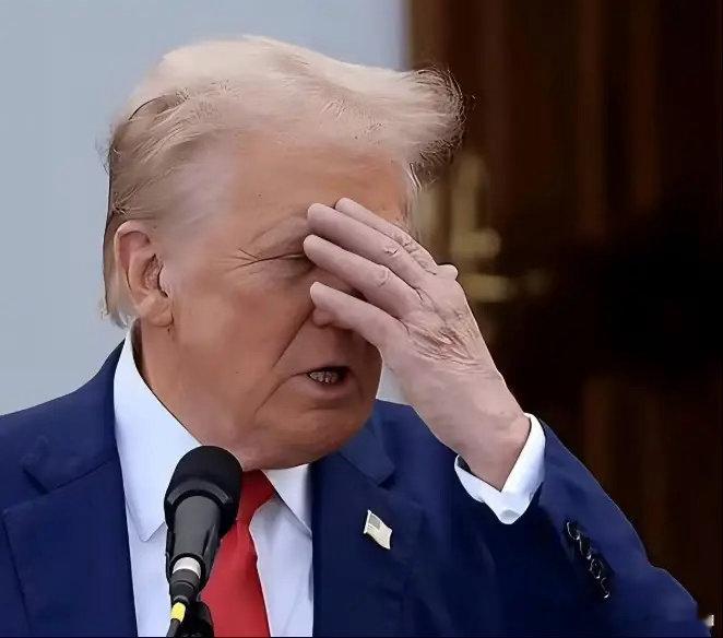 小布什解决了萨达姆，奥巴马拿下了卡扎菲，拜登撤离阿富汗，特朗普知耻后勇，盯上了伊