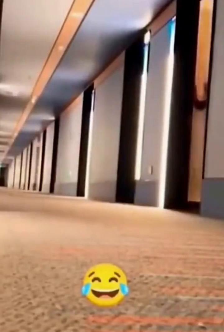 哈哈。