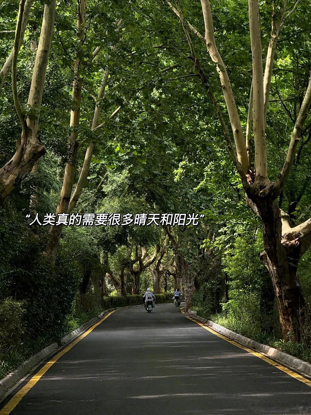 四月是一场拥挤的新绿四月生活我的日常生活需要分享欲