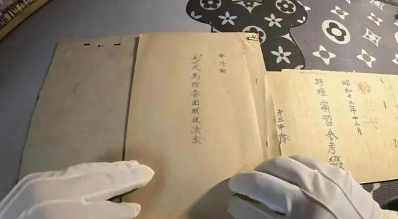 国家要出手了，"精日分子"的好日子到头了！

为什么要狠狠治，因为病得太重了！