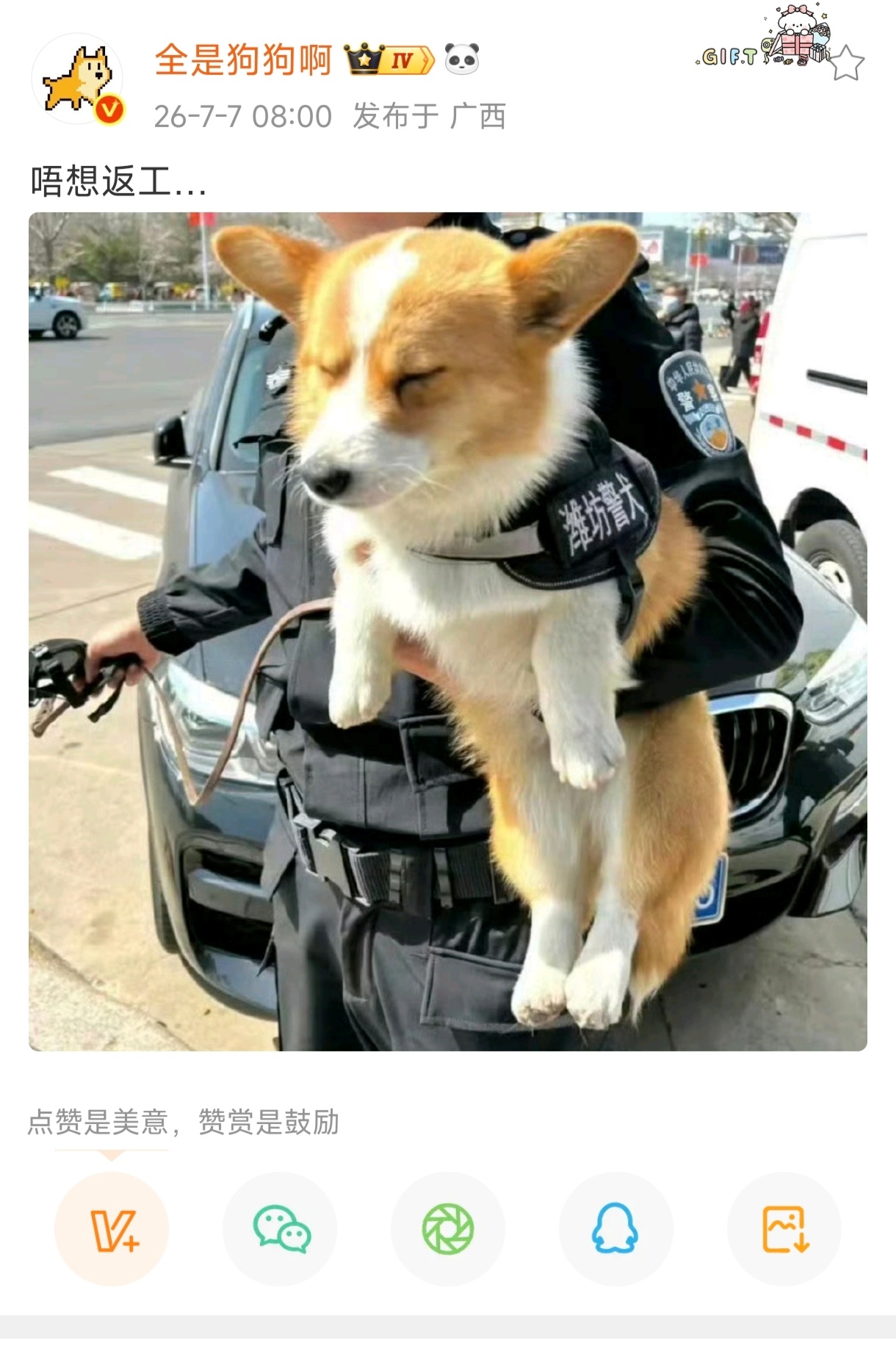 我如下⬇️ 