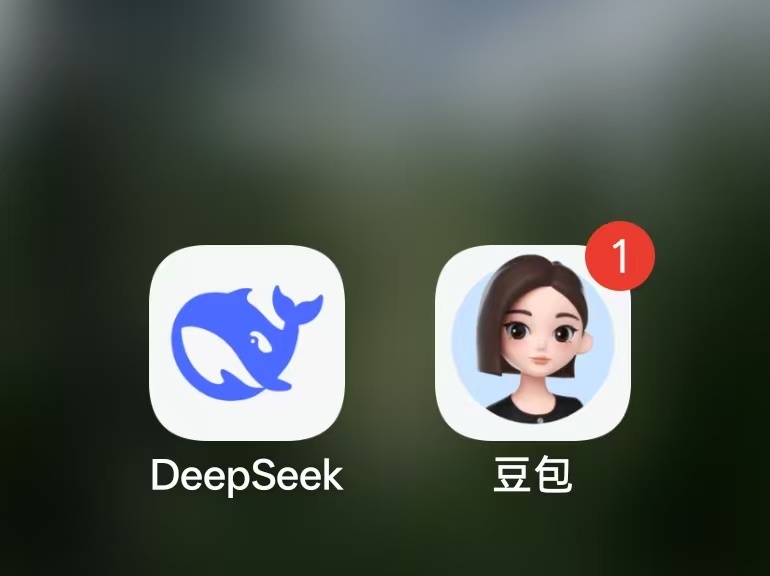 豆包和deepseek的区别 这两个AI我手机里面都有，但是我现在不怎么用Dee