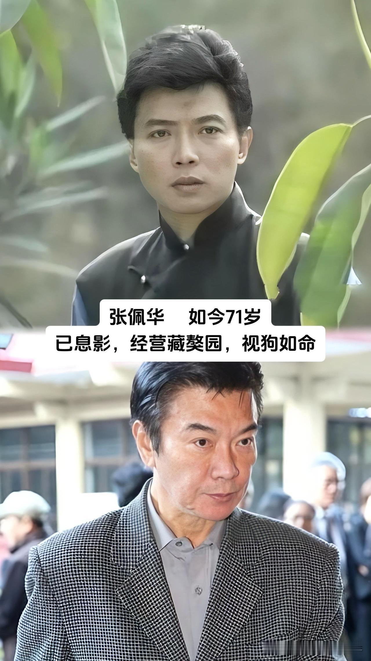 金士杰、张晨光、顾冠忠、张佩华、沈孟生、翁家明、庹宗华、邱心志、谢祖武，这些曾撑