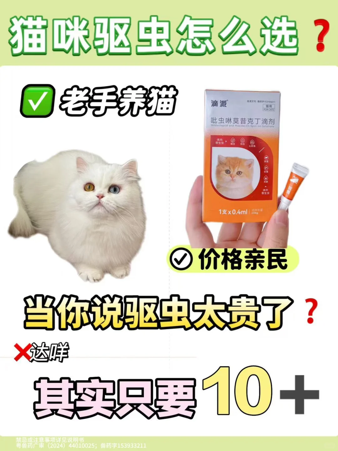 猫咪驱虫跟我买｜天天省钱吃罐头😄