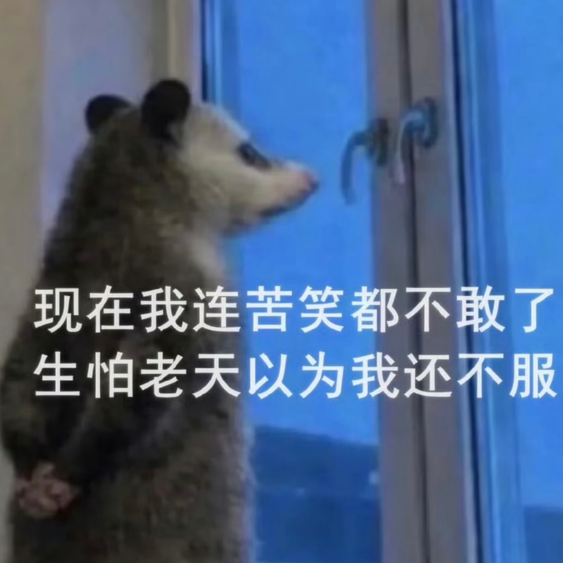 否极泰来的泰到底啥时候来  这几天真有点太不顺了从一开始演出开票  我不理解1秒