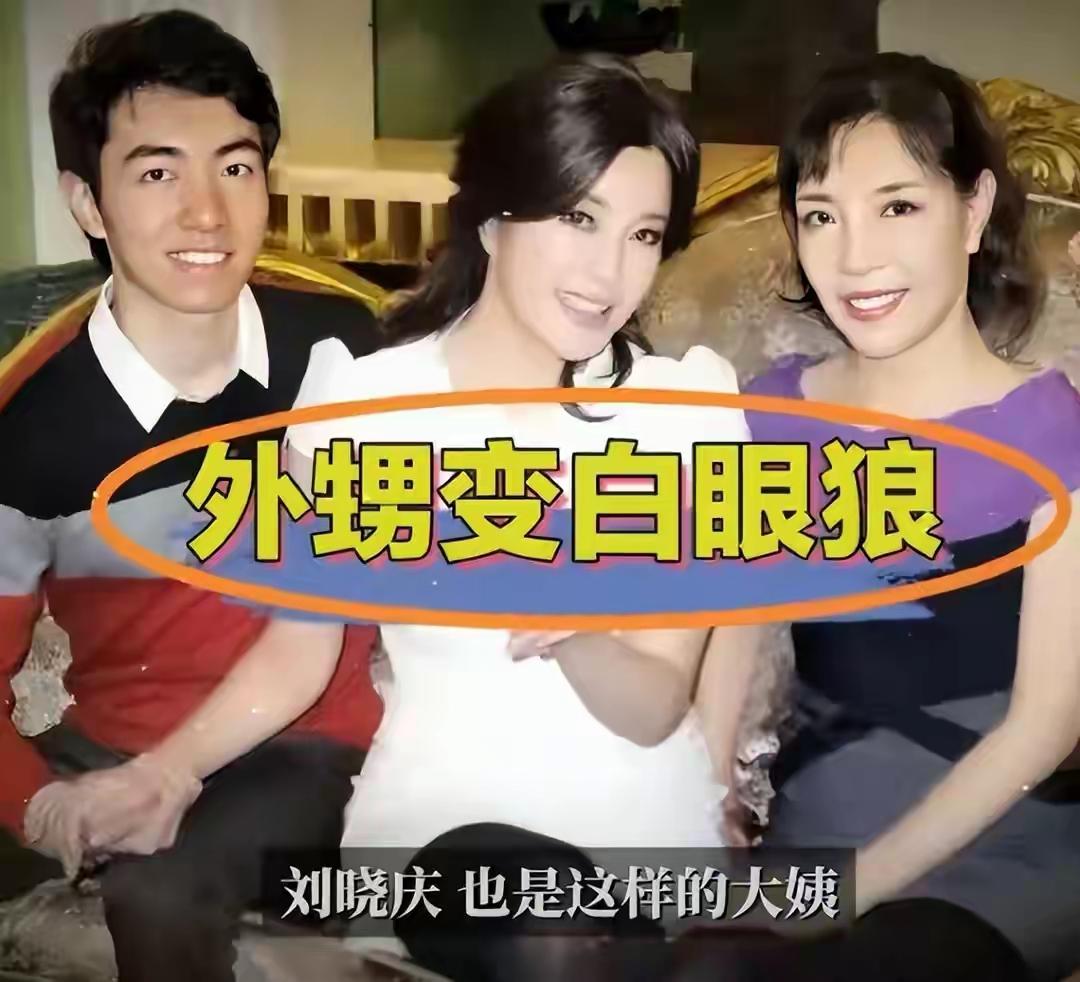 刘晓庆辟谣“死亡”，亲外甥成幕后黑手！

3月25日，刘晓庆在横店某酒店去世的新