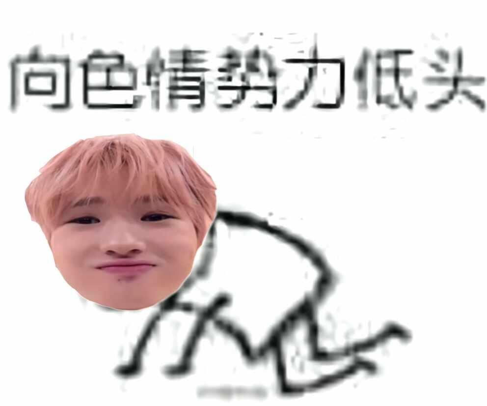 更新一则藤永小猪梗图
藤永咲哉 sakuya nctwish