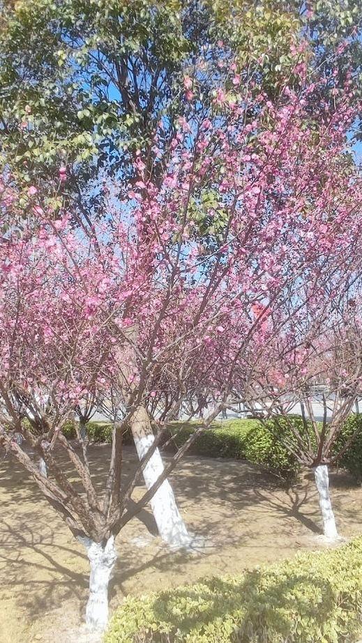 新年第一拍：十升“巨婴”酒桶！  
带回海南的隐藏彩蛋，一桶抵十瓶，倒进碗里像小