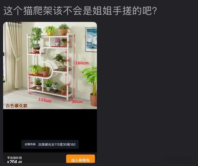 爱让小猫变半挂 