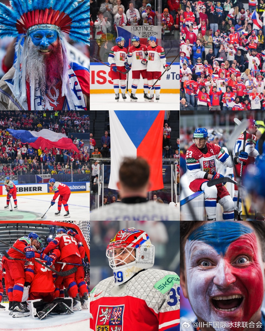 2026男子冰球世锦赛 🇨🇿的色彩冰球