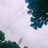 柔桐爱玩体育
