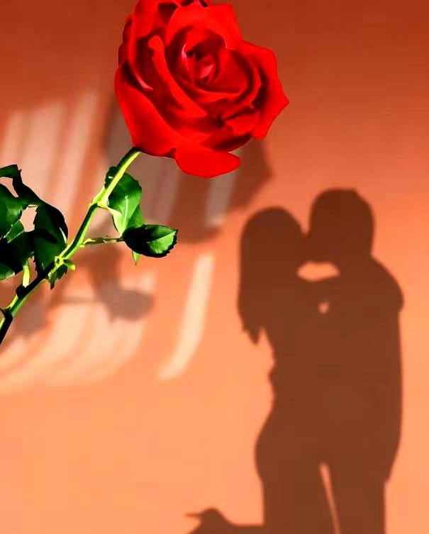 56岁的张叔躺在病床上拍大腿，悔得直叹气：“当年公园见她第一眼就动心，愣是怕人说