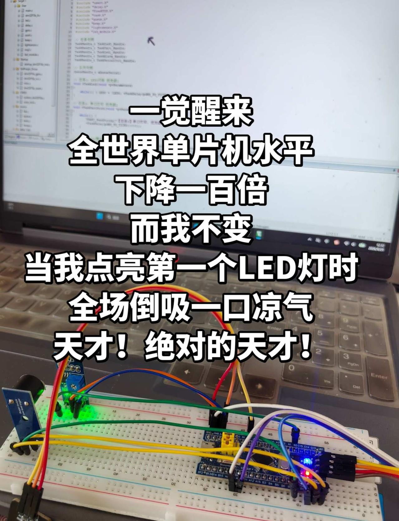 我：全世界单片机水平下降，而我不变
单片机 电气 STM32单片机 嵌入式 工科