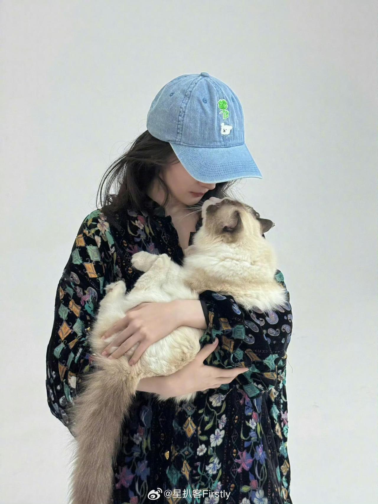 真的哭死！杨幂与她的三只“剧组捡来”的猫
 
谁懂啊！杨幂是把流浪猫养成了心头宝