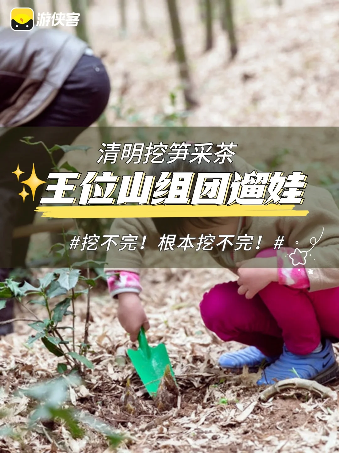 上海春日限定亲子活动｜上春山挖笋采茶去🍃