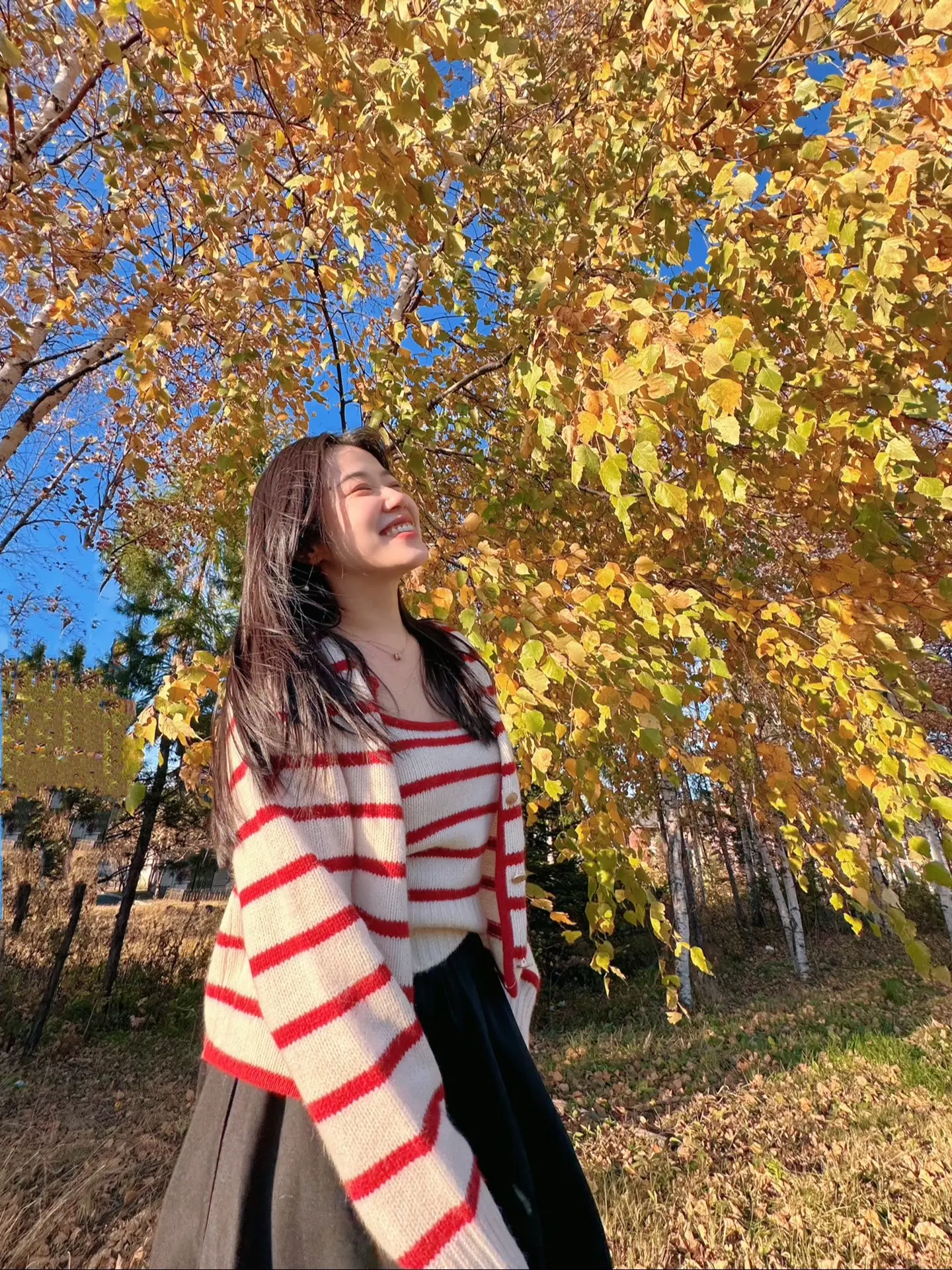 希望这个秋天再久一点再久一点🍂。