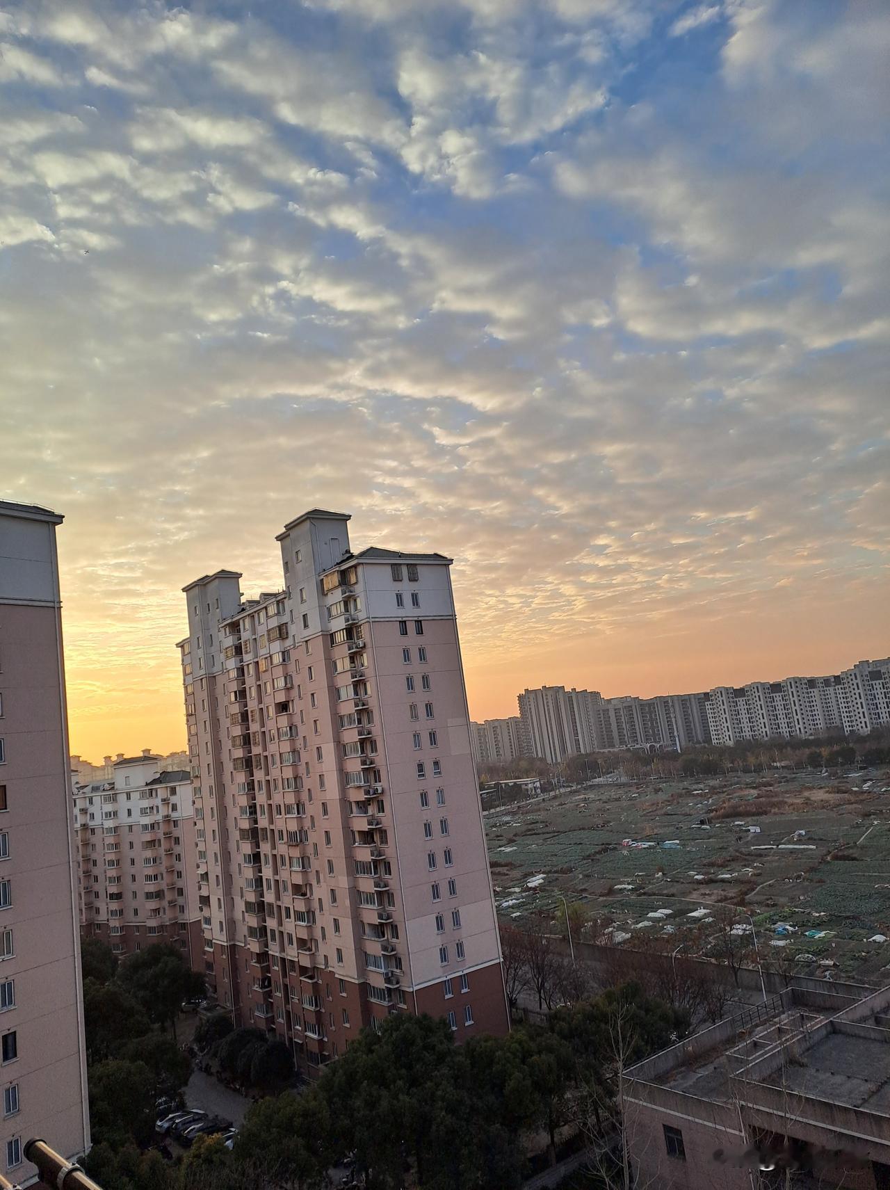 一张照片分享今日天气朝霞雨淋淋，晚霞晒死人，都说上海断崖式降温，难道还要下雨？