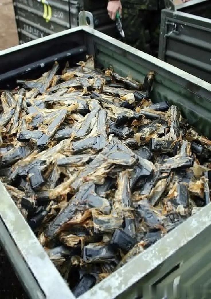 （图1）俄军开始大量启封并祭出祖传黑五星！
标准油包纸，
不得不说毛子家底真厚，