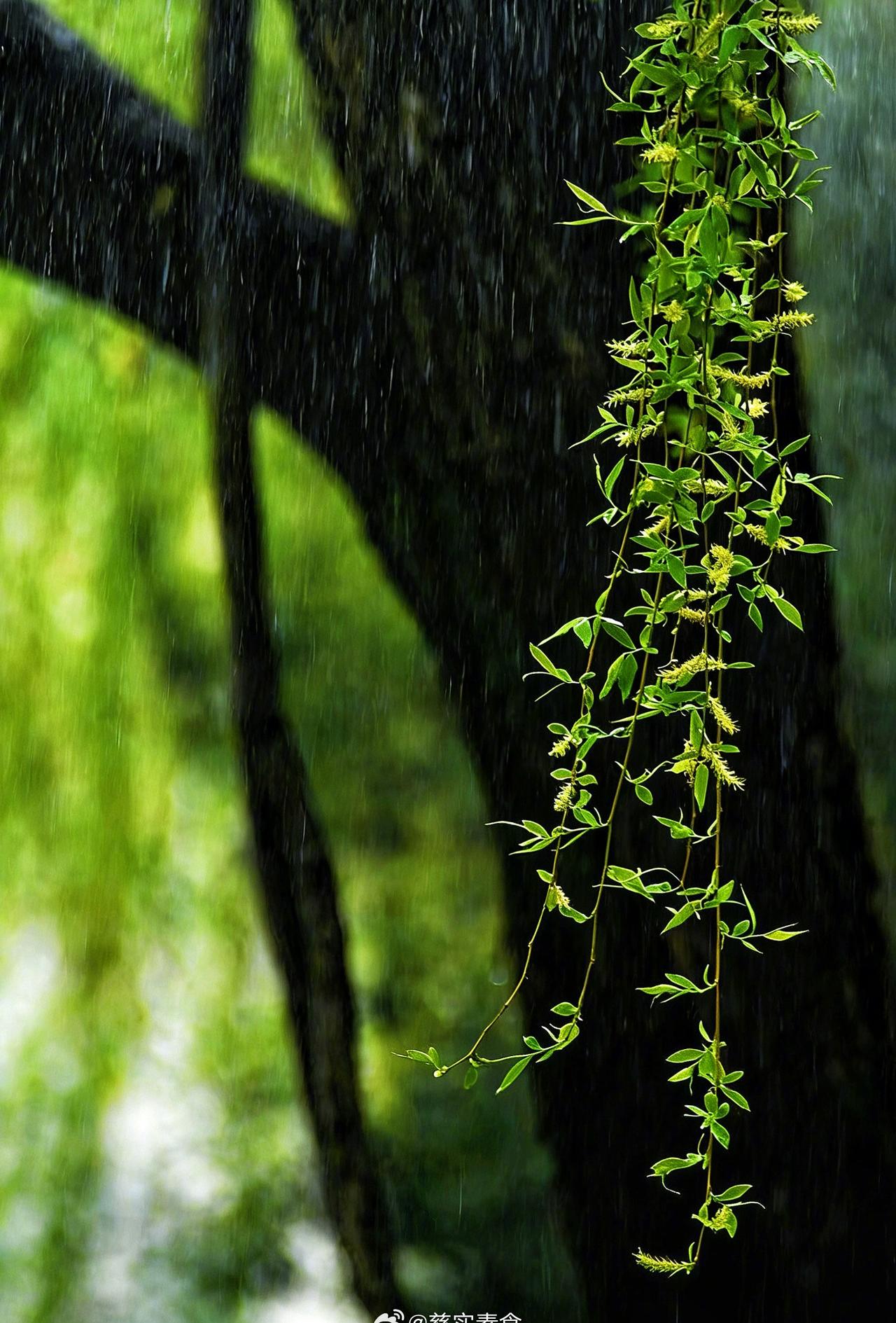 这天阴冷阴冷的

潮湿寒凉 ​​​