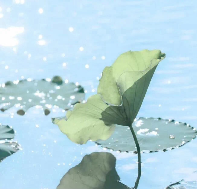 自身平和，周遭便少纷扰；内心澄澈，世事皆能从容。修好一颗平常心，善待自己，宽待他