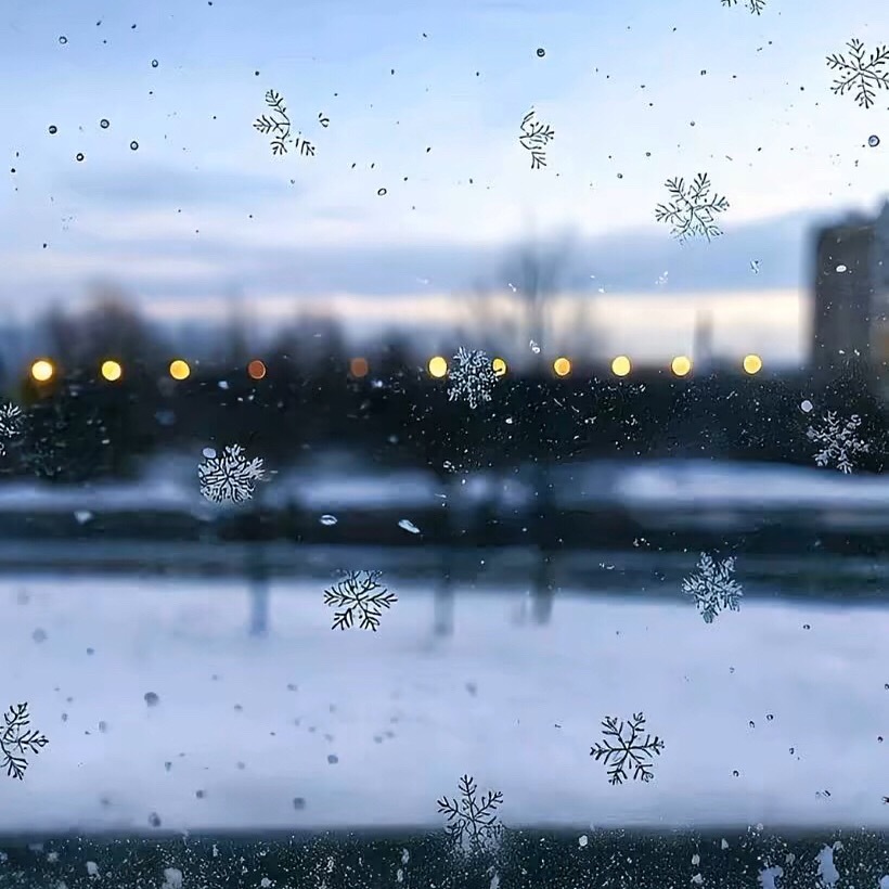 每日一善  🍀每日一善 🍀阳光信用  清晨的阳光是大自然赠予的希望，无论昨天