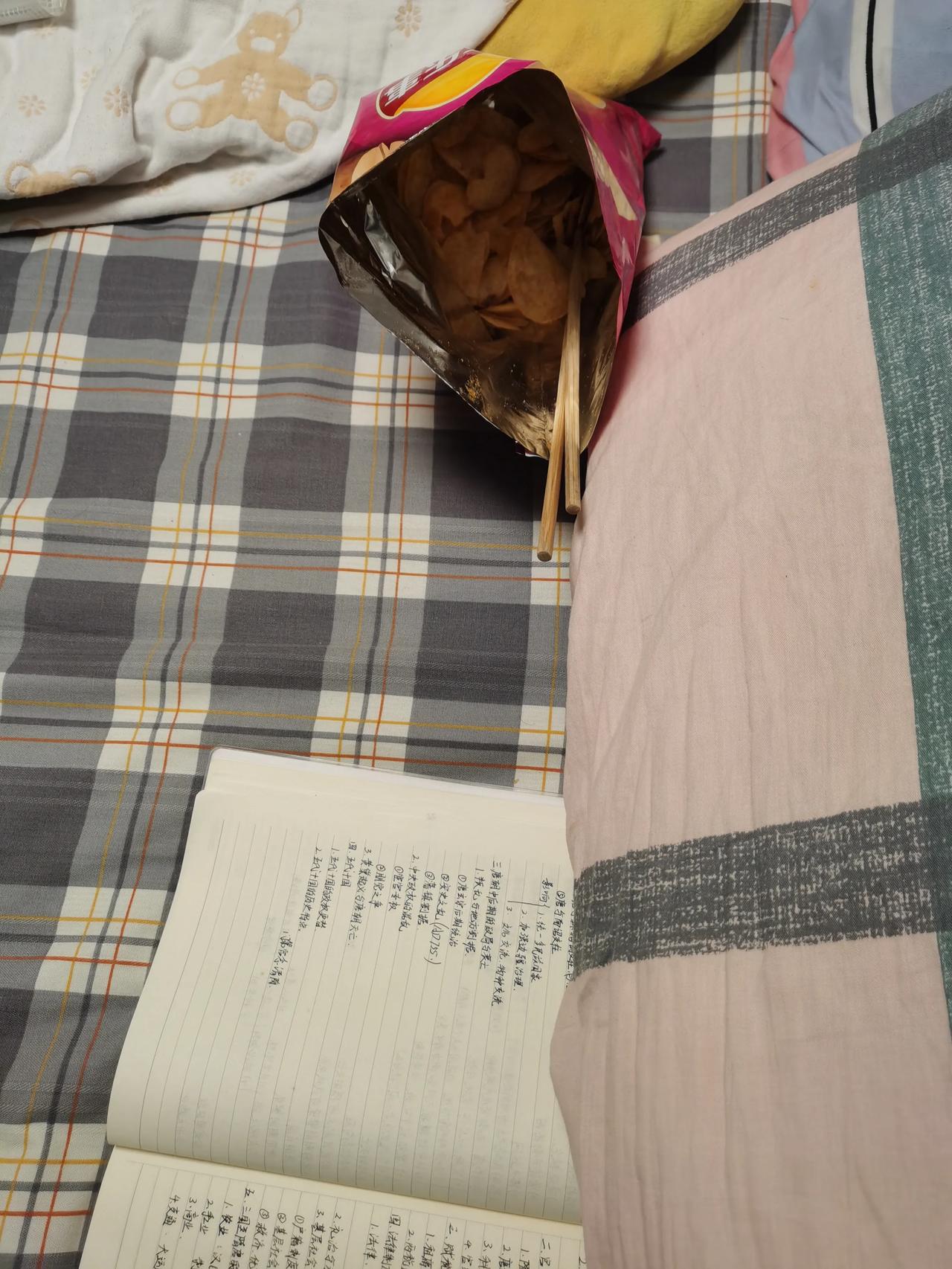 我去视察孩子：正趴在床上用筷子夹薯片吃，枕头底下压着历史笔记本。
高二上了一个学