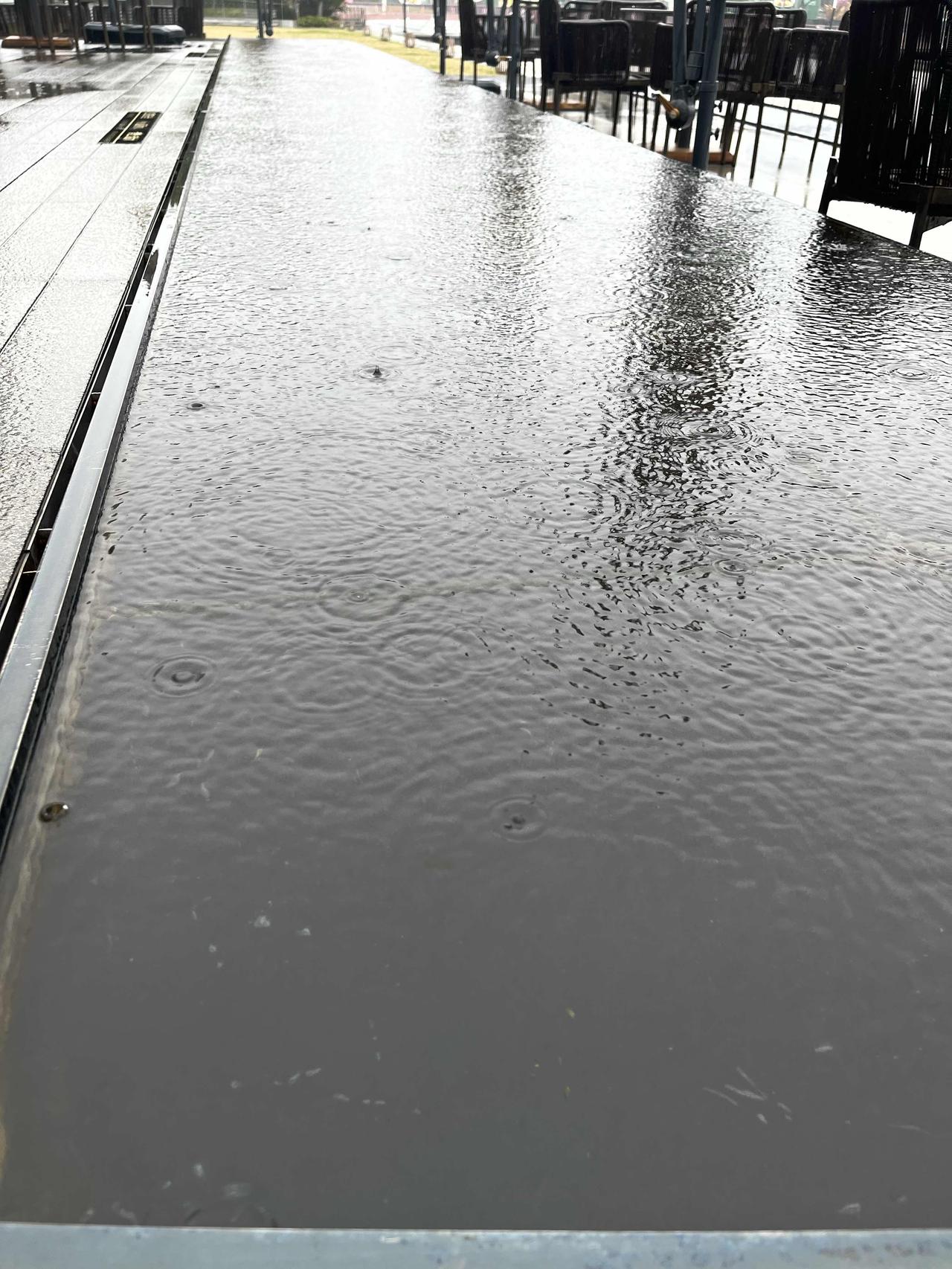 春雨/渡口
有关春雨、春风、又绿江南岸的诗句太多了，诗词歌赋从古到今，说上几年都