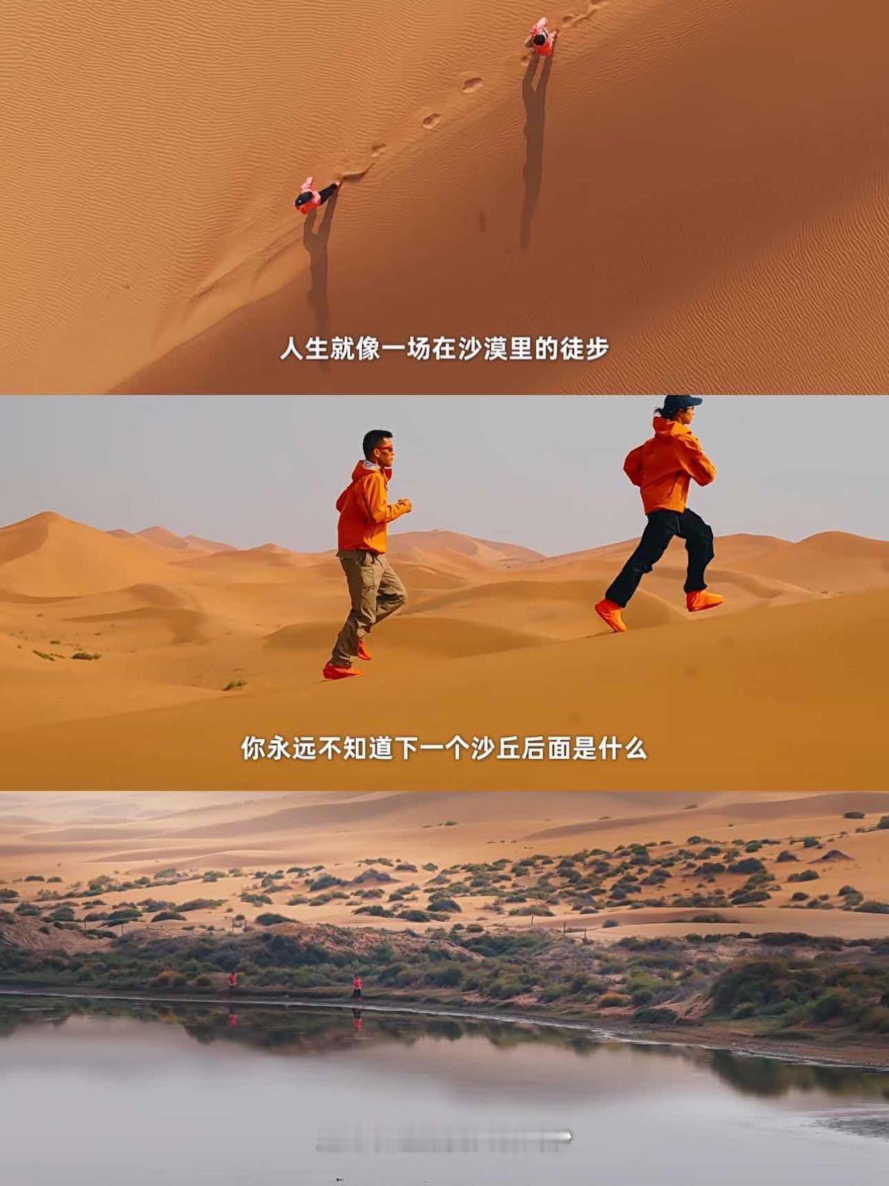 汤臣倍健30而砺今天偶然刷到汤臣倍健《砺刃狂沙》纪录片,作为一名打工人，我深有感